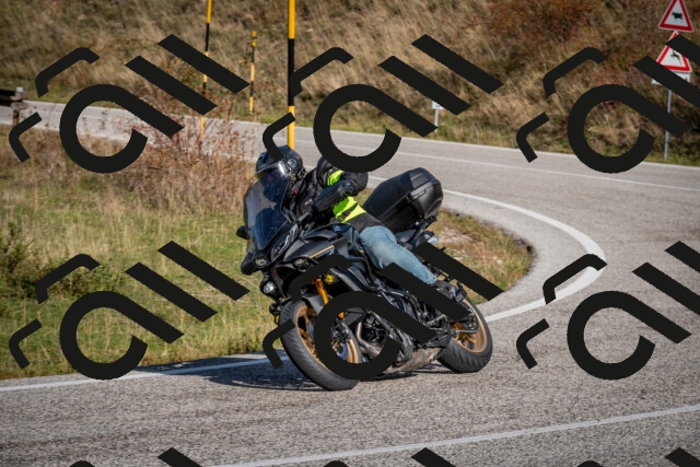 202510191107-DSC_8821_c2