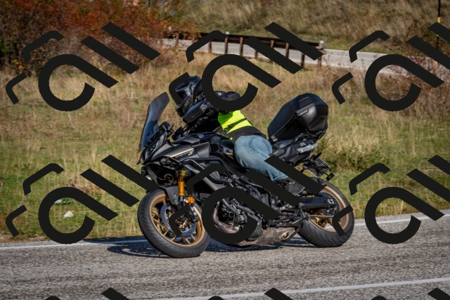 202510191107-DSC_8822_c2