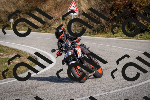 202510191108-DSC_8826_c2