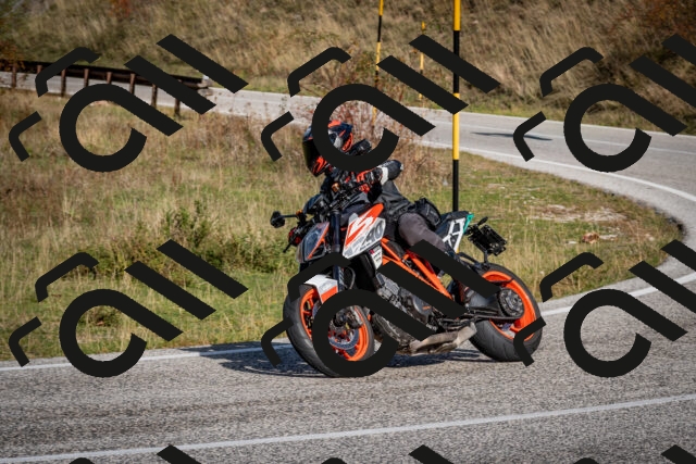 202510191108-DSC_8827_c2