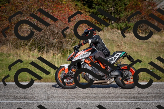 202510191108-DSC_8828_c2