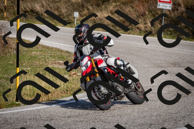 202510191108-DSC_8829_c2