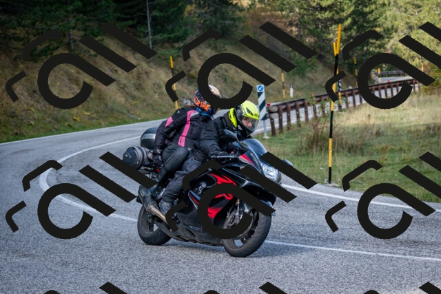 202510191113-DSC_8835_c2