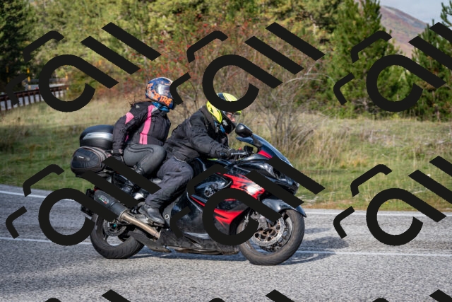 202510191113-DSC_8836_c2