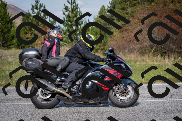 202510191113-DSC_8837_c2