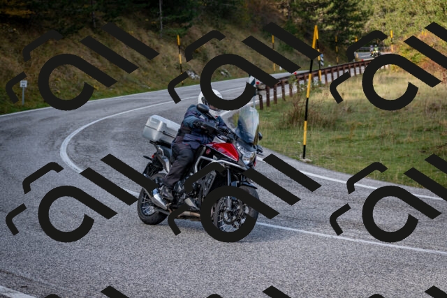 202510191115-DSC_8838_c2