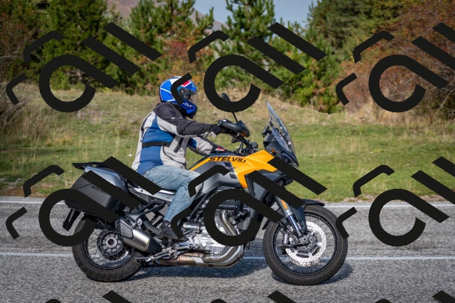 202510191115-DSC_8845_c2