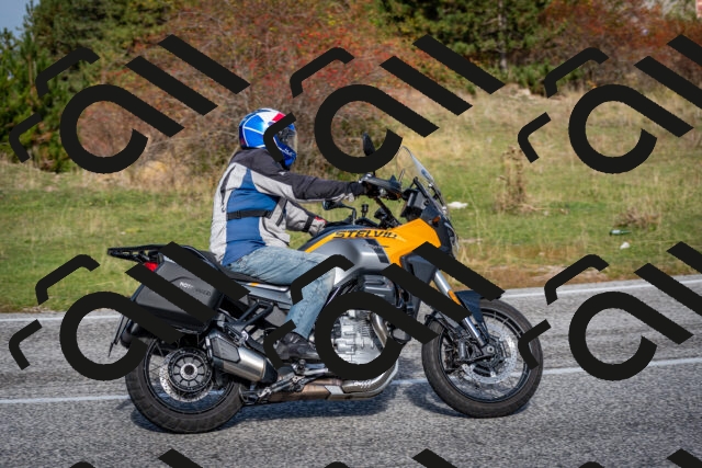 202510191115-DSC_8846_c2