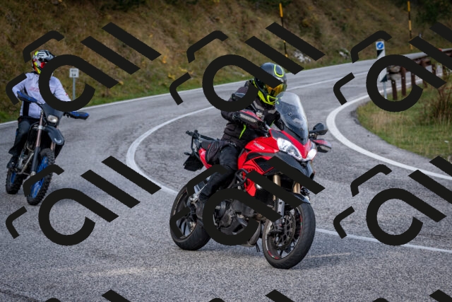 202510191117-DSC_8847_c2