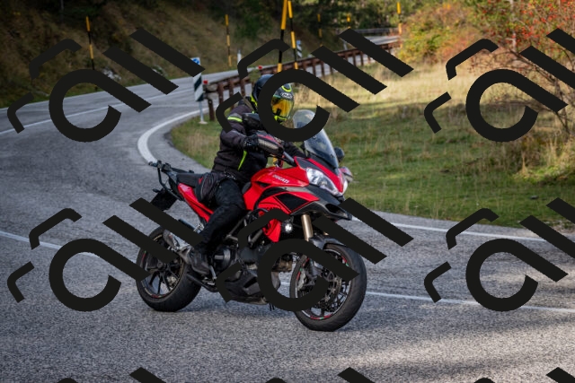 202510191117-DSC_8848_c2