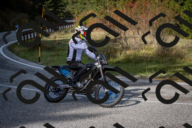 202510191117-DSC_8849_c2