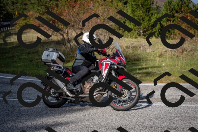 202510191122-DSC_8853_c2