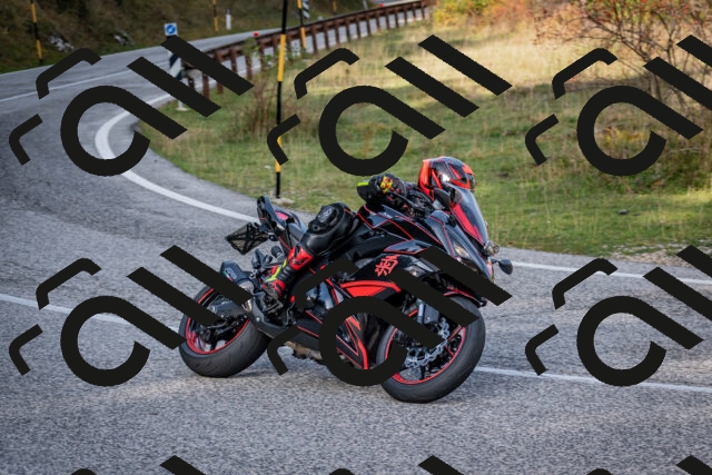 202510191124-DSC_8858_c2