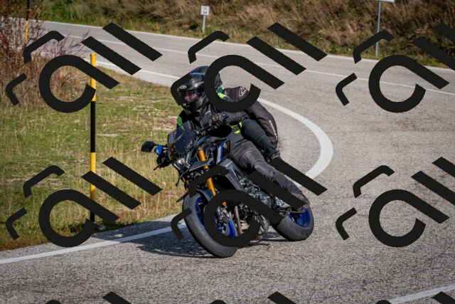 202510191127-DSC_8863_c2