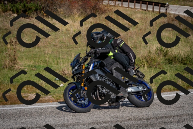 202510191127-DSC_8864_c2