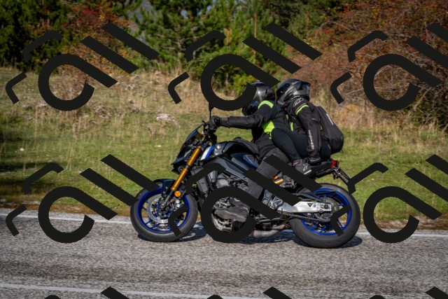 202510191127-DSC_8865_c2