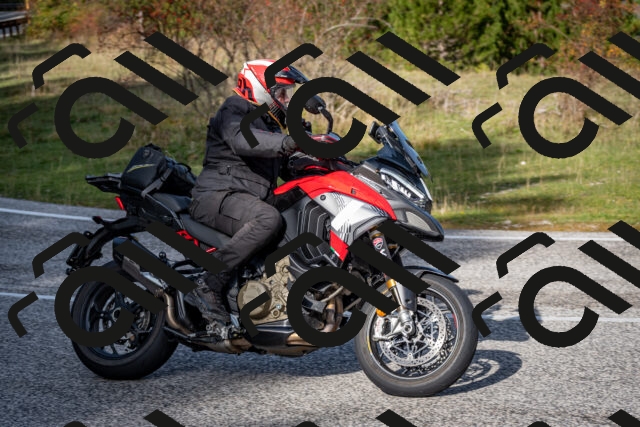 202510191127-DSC_8867_c2