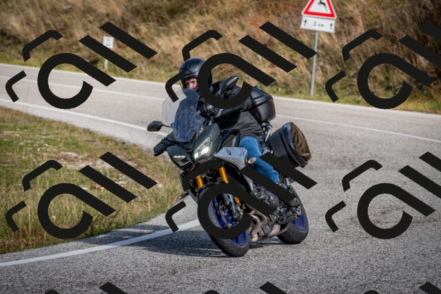 202510191127-DSC_8869_c2