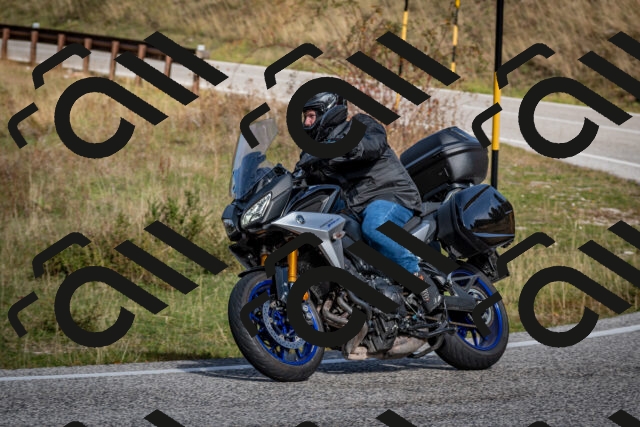 202510191127-DSC_8870_c2