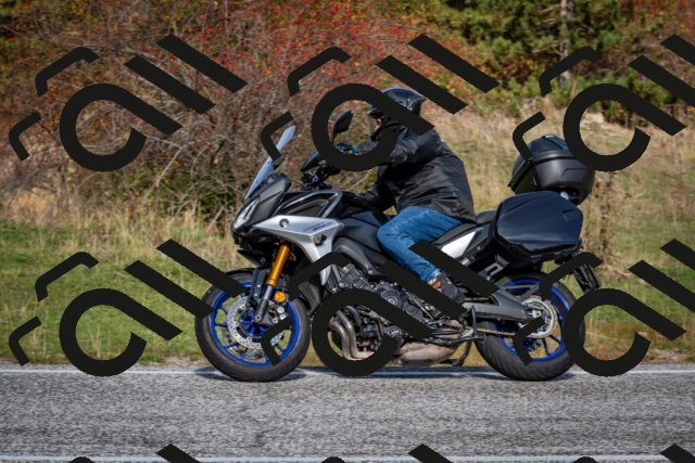 202510191127-DSC_8871_c2