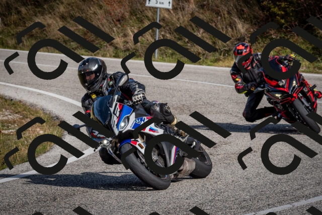 202510191128-DSC_8872_c2