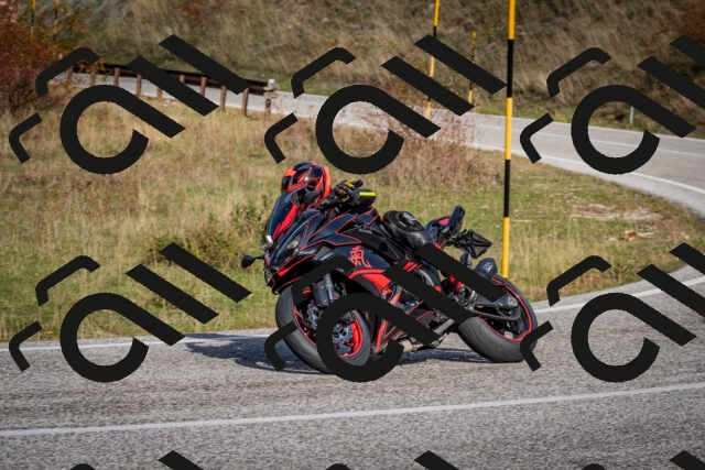 202510191128-DSC_8875_c2