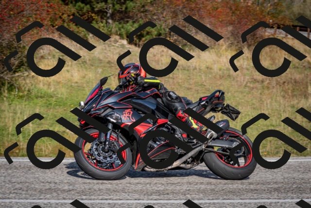 202510191128-DSC_8876_c2