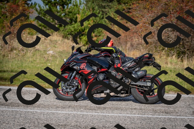 202510191128-DSC_8877_c2