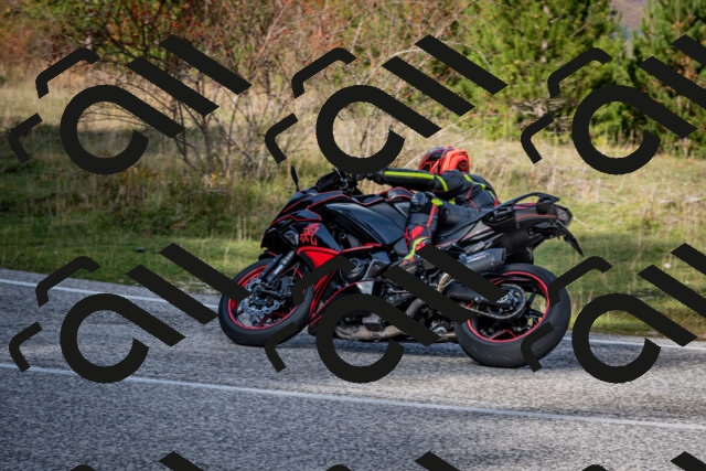 202510191128-DSC_8878_c2