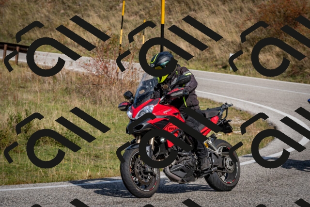 202510191130-DSC_8879_c2