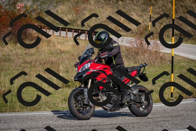 202510191130-DSC_8880_c2