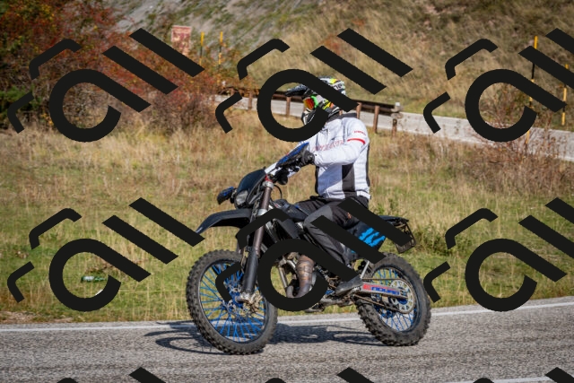 202510191130-DSC_8881_c2