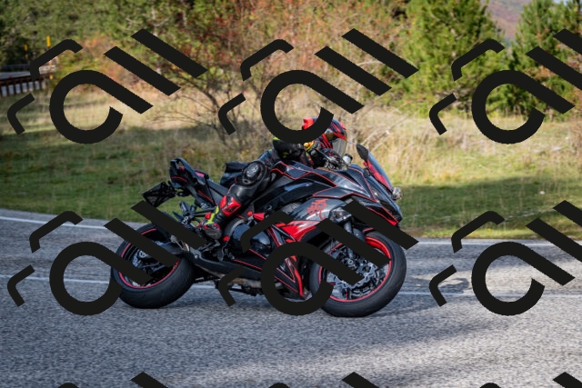 202510191130-DSC_8884_c2