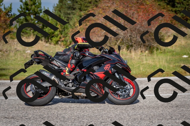 202510191130-DSC_8885_c2