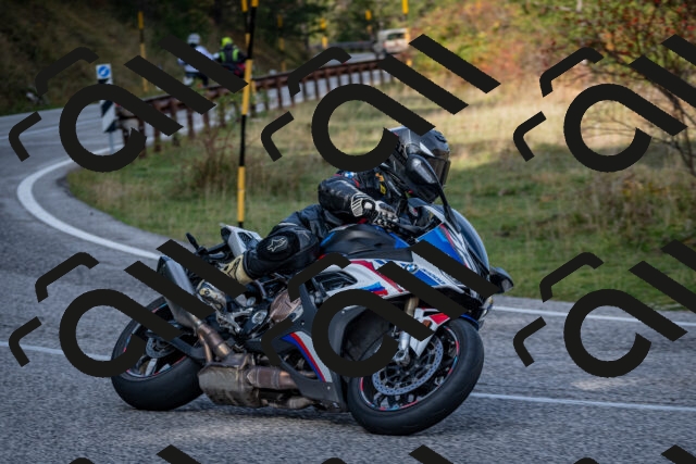 202510191130-DSC_8888_c2