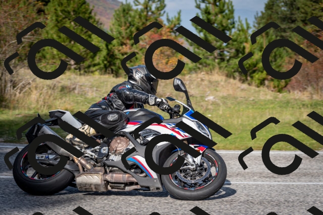 202510191130-DSC_8889_c2