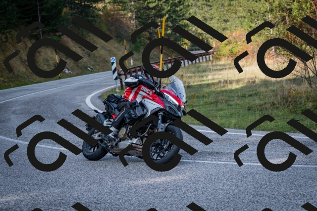 202510191131-DSC_8891_c2