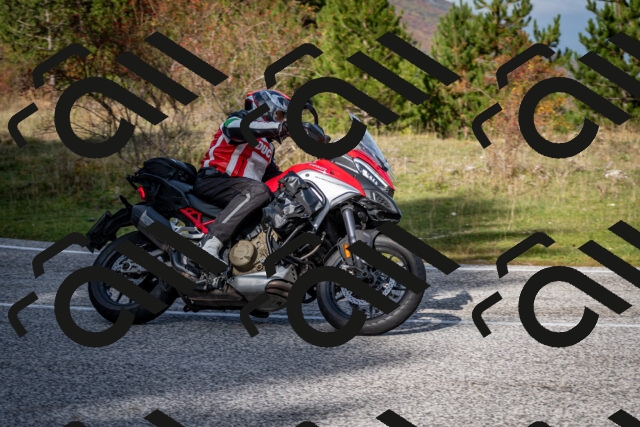 202510191131-DSC_8892_c2