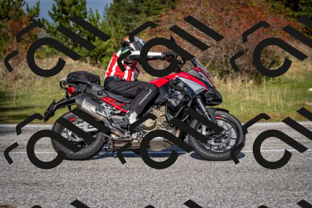 202510191131-DSC_8893_c2