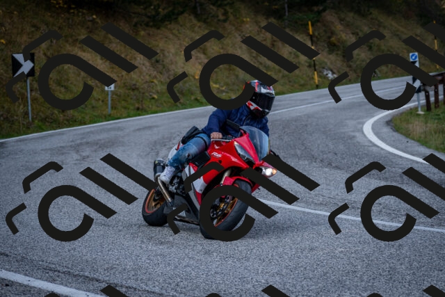 202510191135-DSC_8894_c2