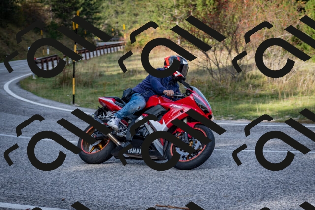 202510191135-DSC_8895_c2