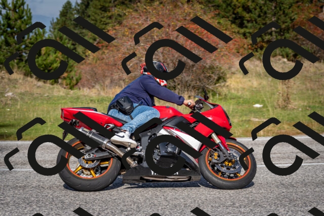 202510191135-DSC_8896_c2