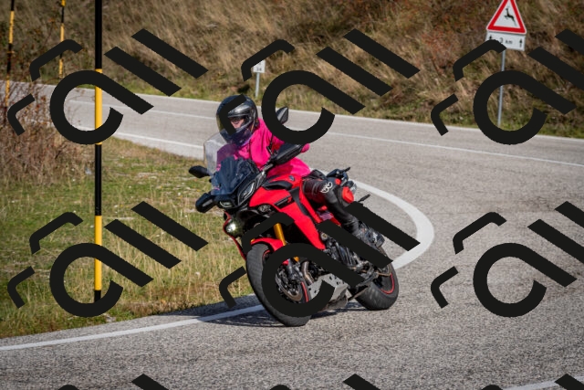 202510191137-DSC_8897_c2