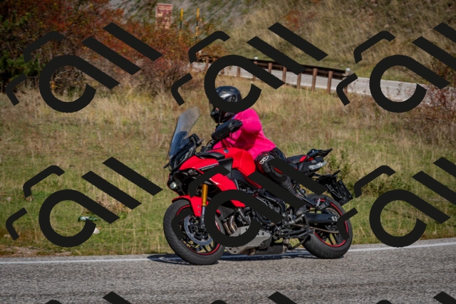 202510191137-DSC_8898_c2