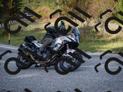 202510191137-DSC_8901_c2