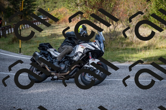 202510191137-DSC_8901_c2