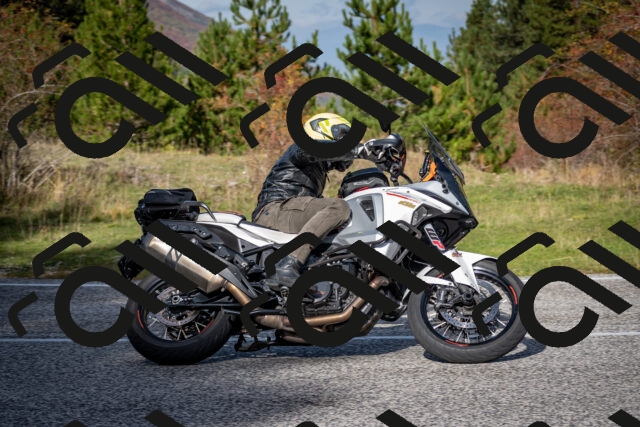 202510191137-DSC_8902_c2