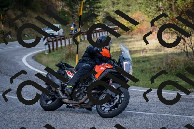 202510191137-DSC_8906_c2