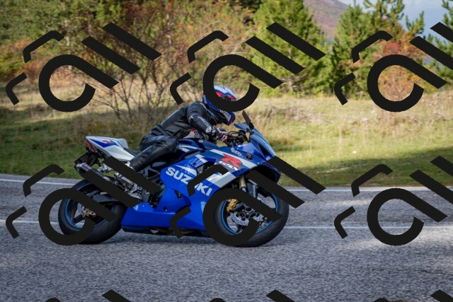 202510191141-DSC_8920_c2