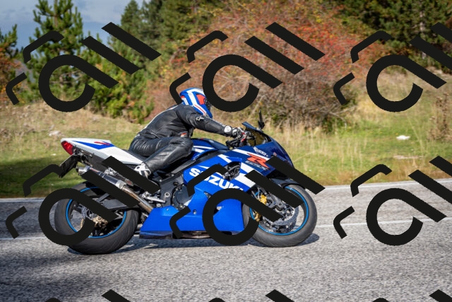 202510191141-DSC_8921_c2